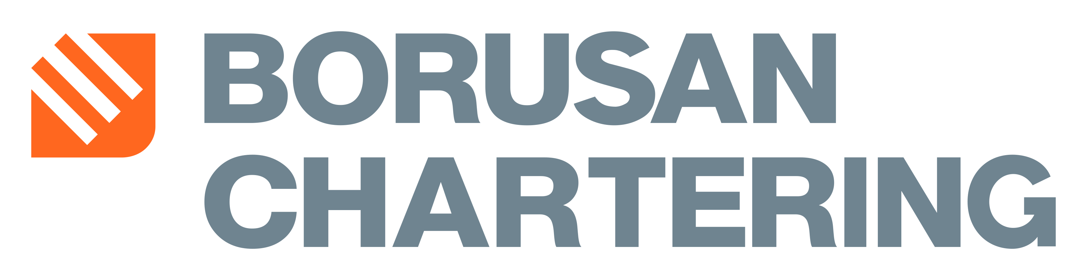 Borusan Chartering