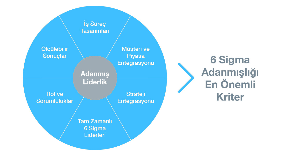 6 Sigma Success Factors